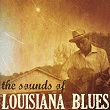 The Sounds of Louisiana Blues | Muddy Waters