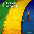 Colors of Brazil | Silvano Michelino