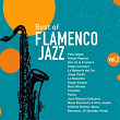 Best of Flamenco Jazz, Vol. 2 | Pata Negra