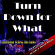 Turn Down for What: Tribute to DJ Snake & Pharrell Williams (Compilation Spring Hits Radio 2014) | Tom Kleins