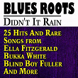 Didn't It Rain (25 Hits And Rare Songs from Ella Fitzgerald Bukka White Blind Boy Fuller And More) | Norfolk Jubilee Quartet