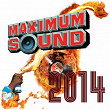 Maximum Sound 2014 | Christopher Martin