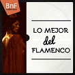 Lo mejor del Flamenco | Divers