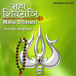 Maha Shivratri | Swapnil Bandodkar