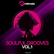 Soulful Grooves, Vol. 1 | Willy Sanjuan