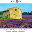 Whispers of Assisi | Tron Syversen