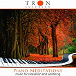 Piano Meditation | Tron Syversen