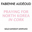Praying for North Korea in Cork | Fabienne Audéoud