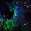 The Black Cat | Alchemy Circle