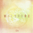 Wildfire | Andrew Guanzon