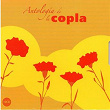 Antologia de la Copla, Vol. 6 | Pepe Pinto