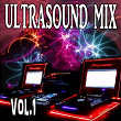 Ultrasound Mix, Vol. 1 | The Gardian