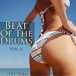 Beat of the Drums (The Tribal House Master Series), Vol. 6 | Luca Matador