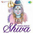 Essential Chants of Shiva | Divers