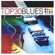 Top 30 - Blues | Roscoe Shelton