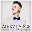 Tu es la seule (Radio Edit) | Alexy Large