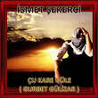 Gurbet Gülizar | Ismet Sekerci