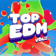 Top EDM, Vol. 2 | Dawe, Tim Holmes