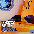 The Grass Is Bluer: Bluegrass, Vol. 4 | Turner Brothers