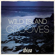 Wild Island Grooves - Ibiza, Vol. 1 | Paul Parsons, Tim Nice