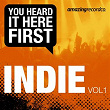 Indie, Vol. 1 (You Heard It Here First) | Beach House