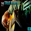 True Blues, Vol. 2 | Richard Trice