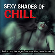 Sexy Shades Of Chill (Seductive Lounge Grooves For Love Making) | Starchillaz
