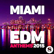 Miami Edm Anthems 2015 | Joachim Garraud