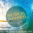 Musical Freshness, Vol. 1 (Get the Latest Electronic Hits) | Bes & Meret