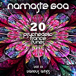 Namaste GOA, Vol. 1 (20 Psychedelic Trance Tunes) | Beloved Groove