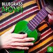 Bluegrass Now!, Vol. 2 | Ken Maynard
