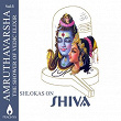 Amruthavarsha, Vol. 5 (Shlokas on Shiva) | P. C. Ramakrishna