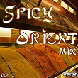 Spicy Orient Mix, Vol. 2 | Ishtar