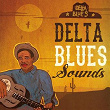 Delta Blues Sounds | Doctor Ross
