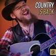 Country Is Back | Davy Graham