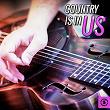 Country Is in Us | The Everly Brothers