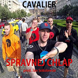 Správnej Chlap | Cavalier