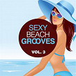 Sexy Beach Grooves, Vol. 3 | Malcom Nelson