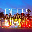 Deep Underground Miami | Pink Ponk