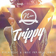 Nu Collection: Trippy (Psychedelic & Indie Pop-Rock Songs) | Manu Delago