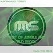 Mutated Sounds Presents: Best of Jungle and Old Skool (Compilation Series) | Venal