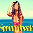 Spring Break | Karine Flo