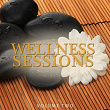 Wellness Sessions, Vol. 2 (Fantastic Spa & Massage Music) | Chris Le Blanc