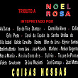 Coisas Nossas (Tributo a Noel Rosa) | Délcio Carvalho, Galo Preto