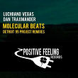 Molecular Beats (Detroit 95 Project Remixes) | Luchiiano Vegas, Dan Traxmander
