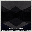 Work House (Titeknots Remix) | Nubiyan Twist