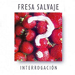 Interrogación | Fresa Salvaje