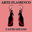 Arte Flamenco: Cante Gitano | El Agujetas