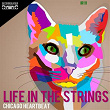 Chicago Heartbeat | Life In The Strings