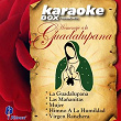 Homenaje A La Guadalupana (Karaoke Version) | Mariachi